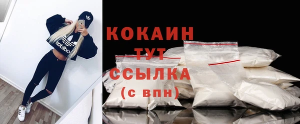 стаф Абинск