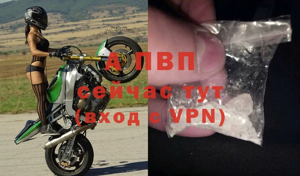 стаф Абинск